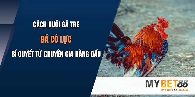 cach nuoi ga tre da co luc