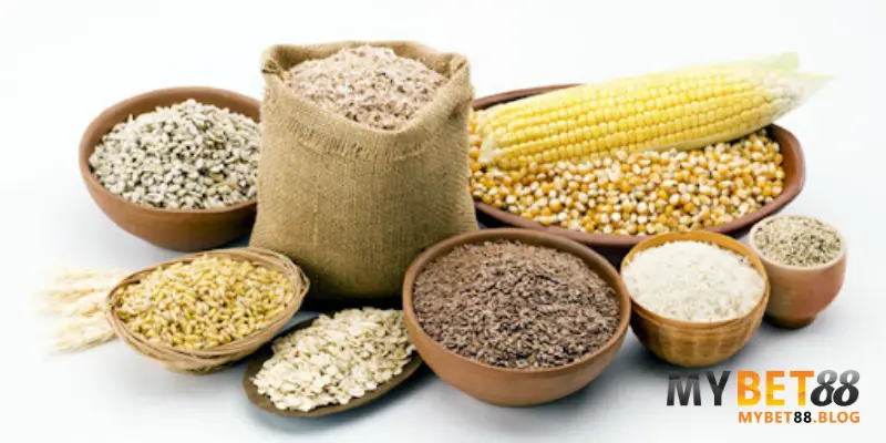 Cách Chăm Sóc Gà Sau Khi Đá Về: Phục Hồi Hiệu Quả & Tăng Thể Lực 3 Chế độ dinh dưỡng giúp phục hồi & tăng thể lực cho gà đá
